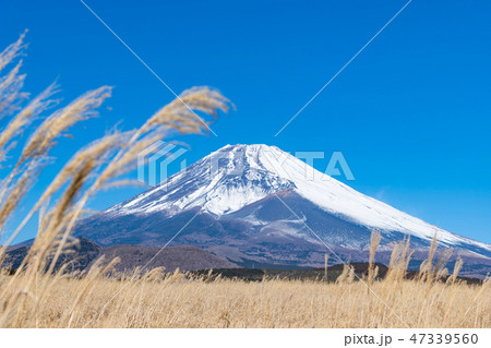 富士山　冬　静岡県裾野市 47339560