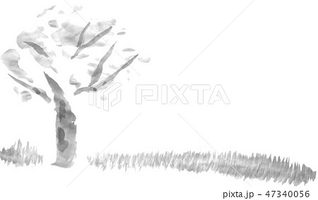 サクラの木 水墨画のイラスト素材 [47340056] - PIXTA