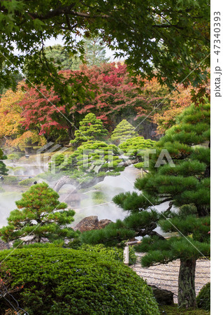 霧の日本庭園　 47340393