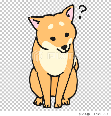 柴犬 犬 ポーズ 表情 はてなのイラスト素材