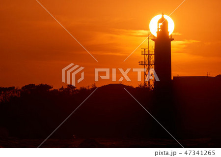 千葉県　野島崎灯台の夕日　草笛公園 47341265