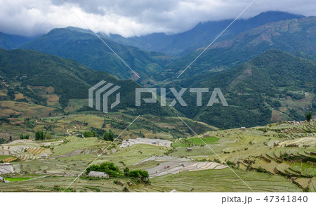 Terraced rice fields on rain season in Vietnam 47341840