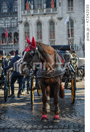 Horse cart in beautiful Bruges town, Belgium Horse cart in beautiful Bruges town, Belgium 47342030
