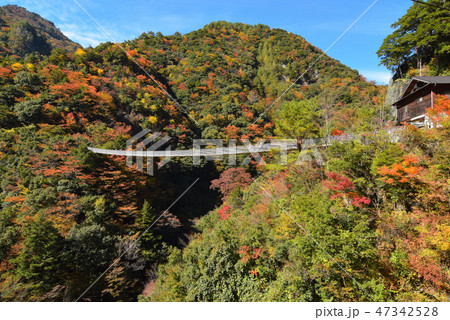梅の木轟公園吊橋 梅の木轟公園吊橋 47342528