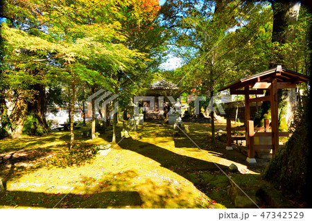五木村の阿蘇神社 47342529