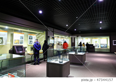 化石 博物館 展示館 47344157