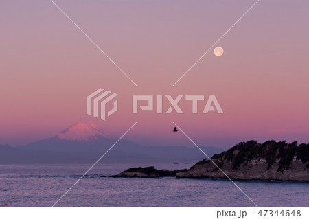 早朝のスーパームーンと紅富士 葉山 長者ケ崎より の写真素材