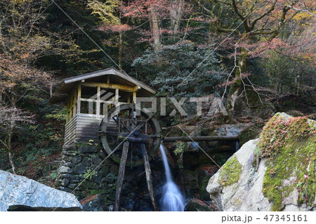 徳島山城町半田岩の秋の水車 徳島山城町半田岩の秋の水車 47345161