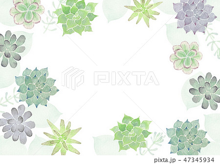 多肉植物 水彩 イラスト 背景 フレームのイラスト素材 47345934 Pixta