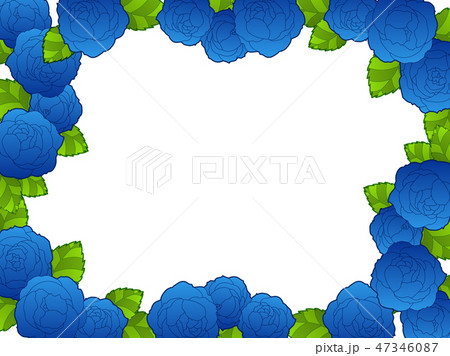 青いバラの花の背景イラストのイラスト素材
