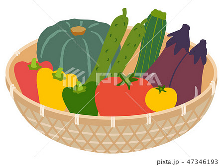 夏野菜のイラスト バスケットのイラスト素材