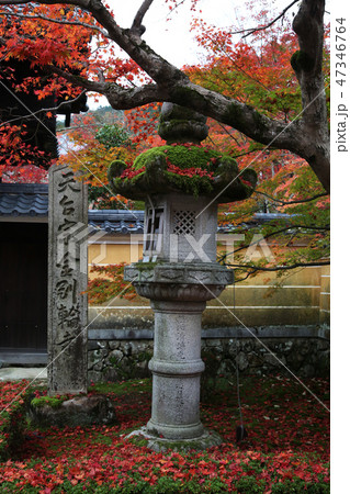 松峰山　金剛輪寺 47346764