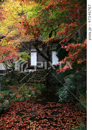 松峰山　金剛輪寺 47346767
