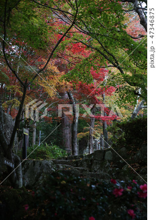 釈迦山 百済寺 釈迦山 百済寺 47346875