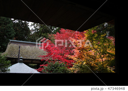 松峰山　金剛輪寺 47346948