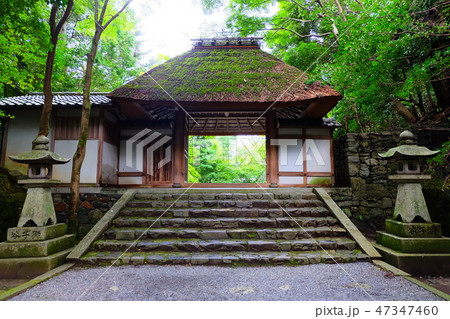 法然院 山門 法然院 山門 47347460