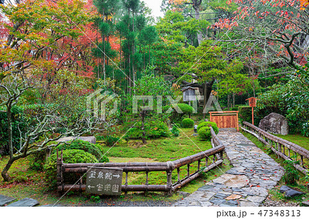 京都　宝泉院の紅葉　　　　 47348313