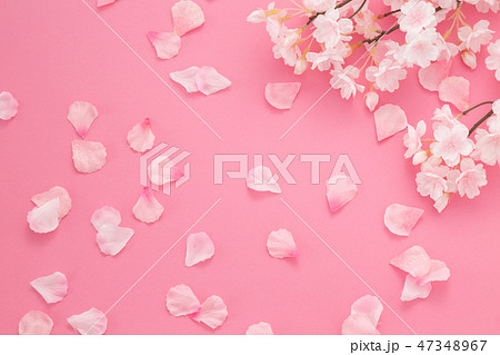 桜 47348967