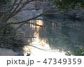 冬の公園の池の水面に落ちる夕方の影 47349359