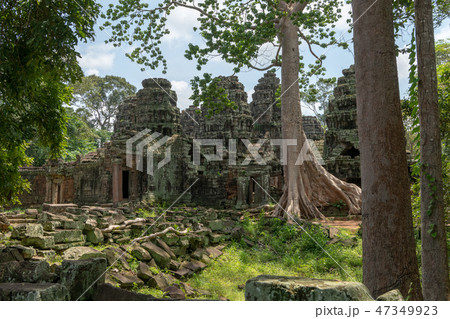 Stone temple rear entrance framed by trees Stone temple rear entrance framed by trees 47349923