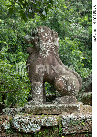Stone lion guards entrance to East Mebon 47349956