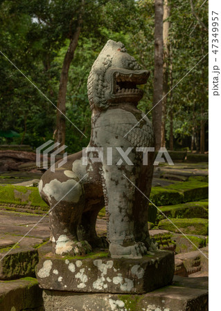 Stone lion guarding entrance to Ta Prohm 47349957
