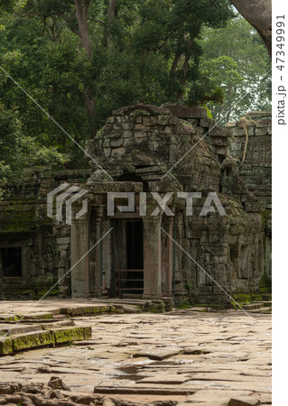 Ruined temple entrance with columns in trees 47349991
