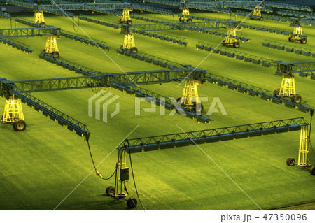 Mobile grow lighting system in sports stadium at night. 47350096