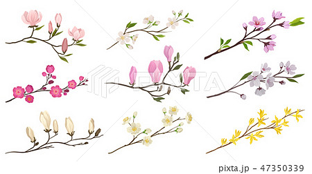 Set Of Flowering Branches With Small Flowers のイラスト素材