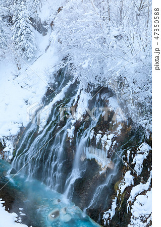厳冬の北海道_白ひげの滝 47350588