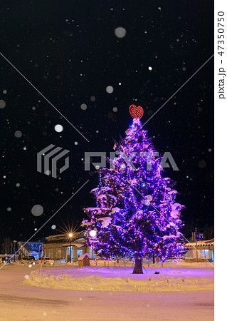 北海道_美瑛駅クリスマスツリー 47350750