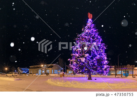 北海道_美瑛駅クリスマスツリー 北海道_美瑛駅クリスマスツリー 47350755