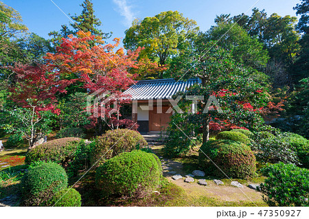 京都　随心院の小町堂と紅葉  47350927