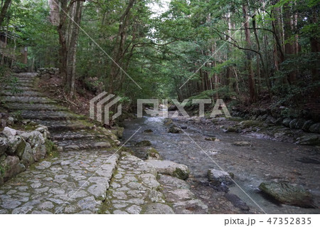 三重県 瀧原宮御手洗場 三重県 瀧原宮御手洗場 47352835