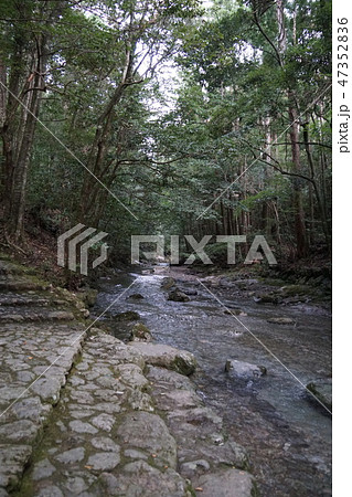 三重県 瀧原宮御手洗場 三重県 瀧原宮御手洗場 47352836