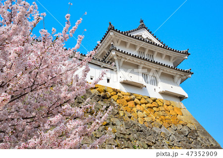 桜景　姫路城　西の丸 47352909