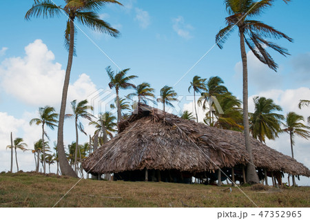 house , bungalow with thatch roof palm tree island house , bungalow with thatch roof palm tree island 47352965