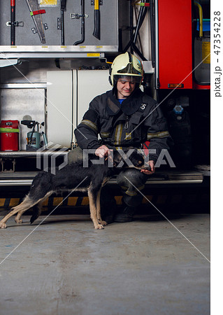 Picture of happy fireman in helmet with dog 47354228