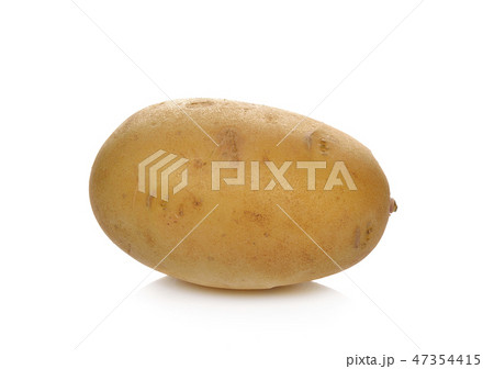 potato isolated on white background potato isolated on white background 47354415