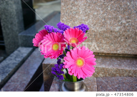 ピンクの花 47354806