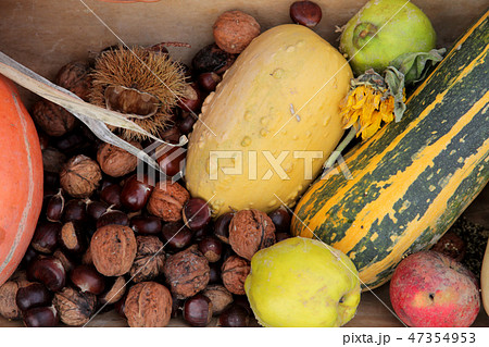 Autumn Harvest Autumn Harvest 47354953