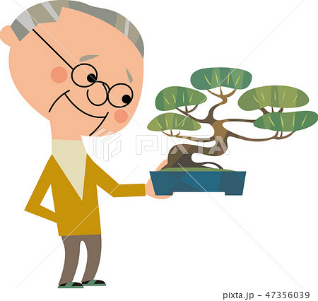 盆栽 盆栽 47356039