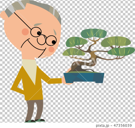 盆栽 盆栽 47356039