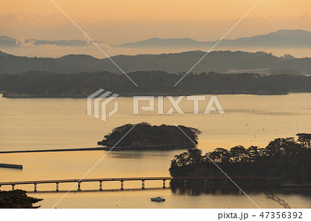早朝の松島　福浦橋　福浦島 47356392