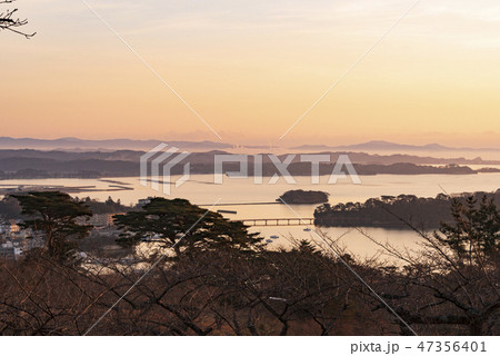 早朝の松島　福浦橋　福浦島 47356401