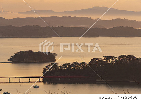 早朝の松島　福浦橋　福浦島 47356406