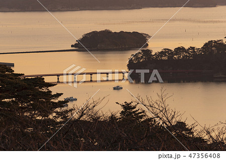 早朝の松島　福浦橋　福浦島 47356408