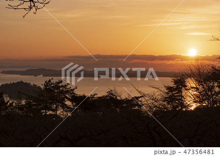 松島　朝日　太陽　朝焼け　日本三景 47356481