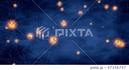 Transmitting synapse,neuron or nerve cell 47356747