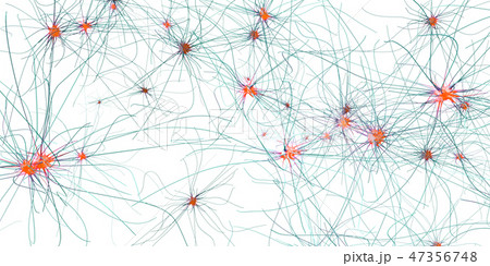 Transmitting synapse,neuron or nerve cell 47356748
